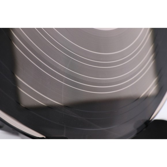 The First Family Rides Again, Rich Little, Earle Doud 12" LP Record NB1-33248 - Picture 15 of 16